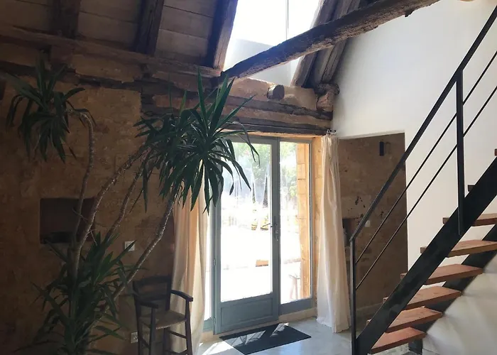 Du Meynet * 圣西普里安